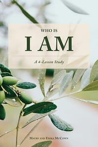 Who Is I Am: A 4-Lesson Bible Study