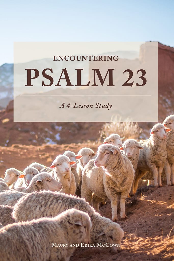 Psalm 23 Book Cover