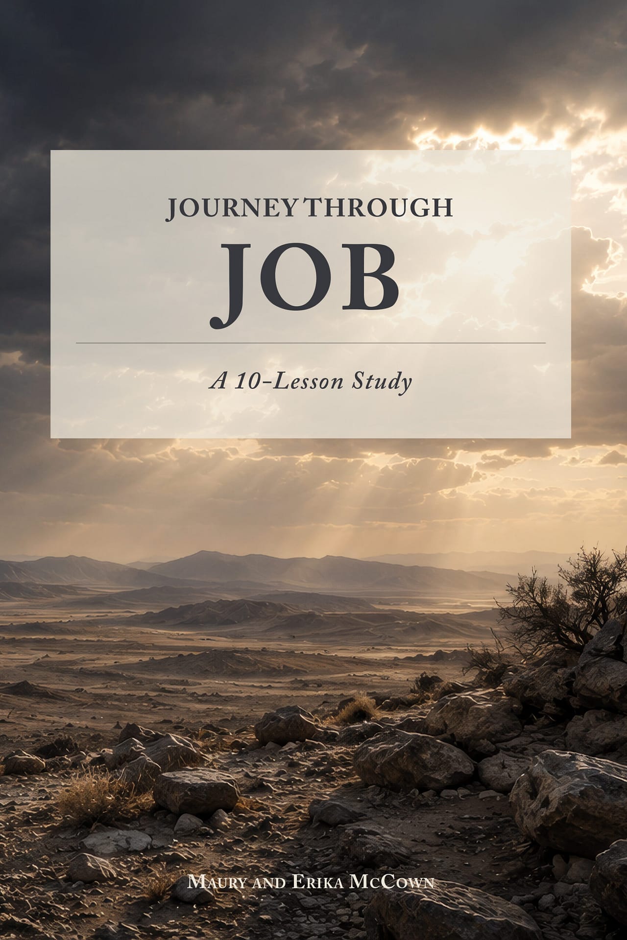 Journey Through Job